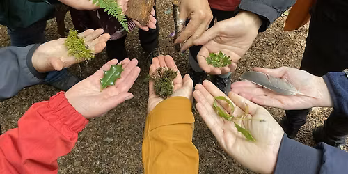 Reset  with Nature - 6 Week Wellbeing Programme - Durham Botanic Garden