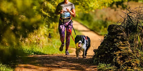 Tukuma Stirnu Buks kanikross 25.04.2026.