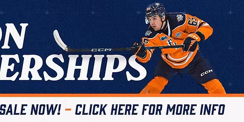 Flint Firebirds vs. Sarnia Sting