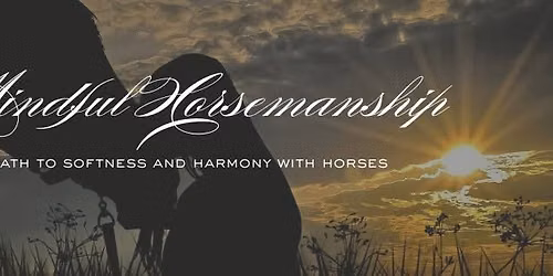 Mindful Horsemanship at Equuvation Therapy + Education Center