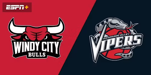 Rio Grande Valley Vipers at Windy City Bulls