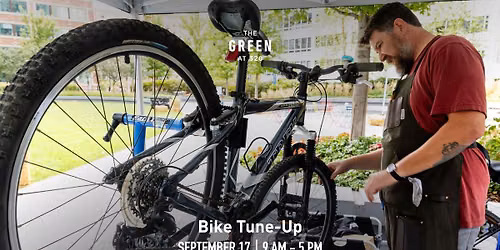 Bike Tune-Up