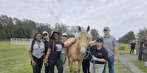 May 2026 - Hunter Horse Haven Volunteer Introduction Session