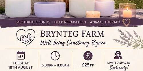 Sound Healing with Alpaca\u2019s & Horses at Brynteg Farm - SOLD OUT 