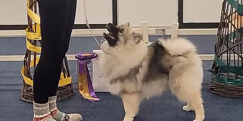 TI 28.4.2026 N\u00e4yttelykoulutus (Jutta ja Peppi) ISOT T\u00c4YNN\u00c4