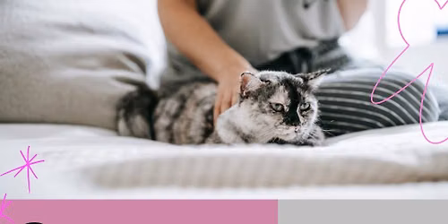 Sensory Friendly Day with Cats