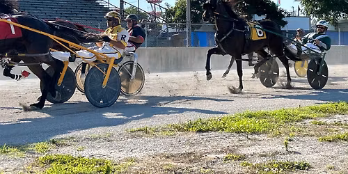 Clinton County Harness Racing