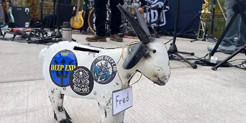 The Deep End Hittin\u2019 the Pumpkin Patch at Casey\u2019s BBQ