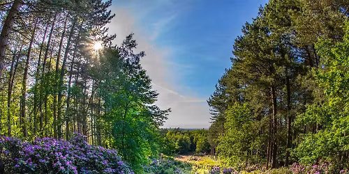 Holkham and Sandringham weekend 