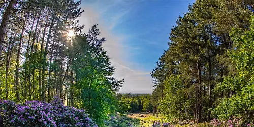 Holkham and Sandringham weekend