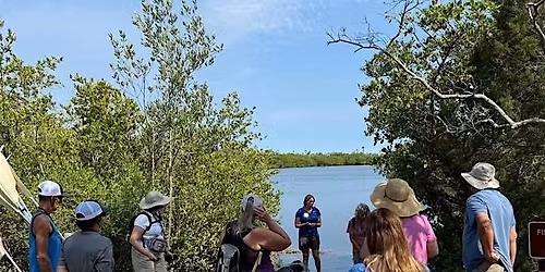 Guided Coastal Nature Walk to Explore Native Ecosystems