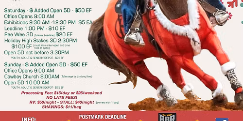 Santa\u2019s Holiday Hustle