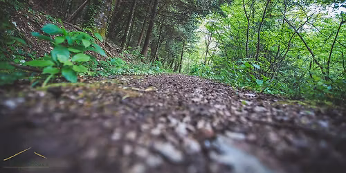 MAINALON TRAIL by Memnon Hikers Team