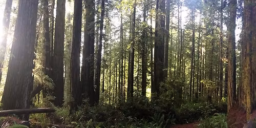 Rove Miles Weekend in St. Louis!