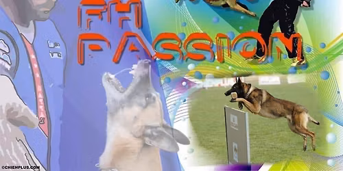 CONCOURS IGP et CHAMPIONNAT REGIONAL, EC VERGEZE