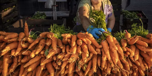 Corona Greenmarket