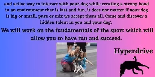 Flyball Beginner Class @ Aloha K9 Training