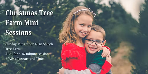 Christmas Tree Farm Minis