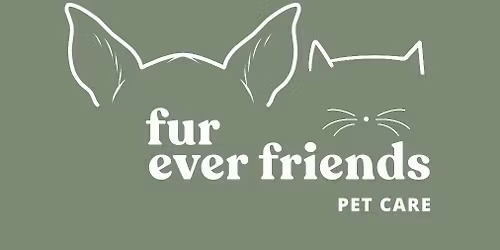 The Boxing Day Community Dog Walk