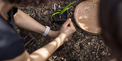 D\u00e9couvrir les principes de la germination et r\u00e9alisation de semis