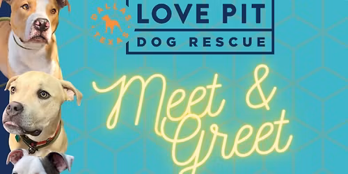 Hollywood Feed Plano x TLP Meet & Greet