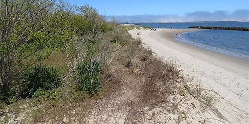 Plumb Beach Cleanup on International Coastal Cleanup Day