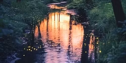 Sunset Forest Reflection Paint Night