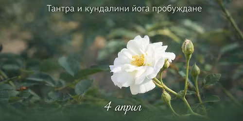 \u0422\u0430\u043d\u0442\u0440\u0430 \u0438 \u041a\u0443\u043d\u0434\u0430\u043b\u0438\u043d\u0438 \u0419\u043e\u0433\u0430 \u043f\u0440\u043e\u0431\u0443\u0436\u0434\u0430\u043d\u0435