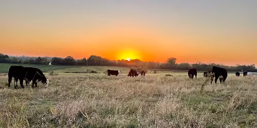 Yoga on the Ranch benefiting Lansing Library
