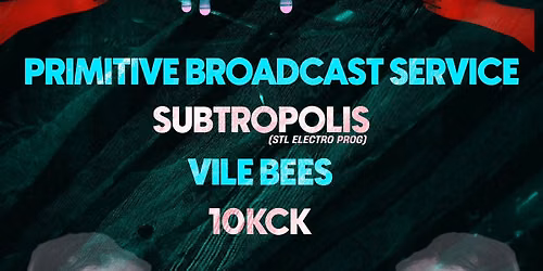 Subtropolis \/ Primitive Broadcast Service \/ Vile Bees \/ 10KCK @ Linneman's