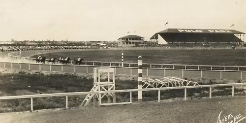 Mid-Afternoon Coffee Break - Polo Park