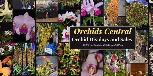 Orchids Central 2026