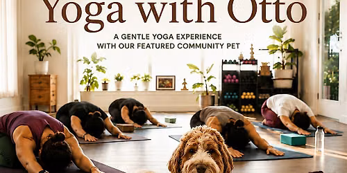 Pets of Jiaren: Yoga with Otto