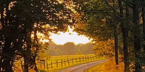 Reikiutbildning steg 1