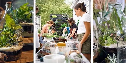 Terrarium Workshop