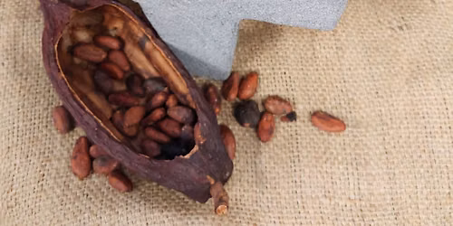Transforming the Cacao Bean