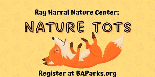 Nature Tots - Pollinator Parade
