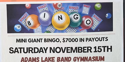 Mini Giant Bingo Fundraiser - ALIB Gym
