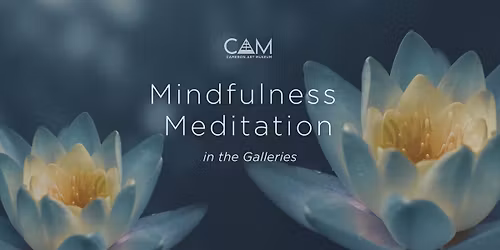 Mindfulness Meditation in the Galleries