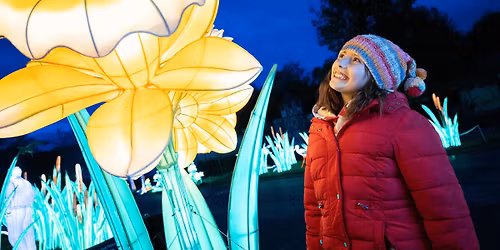 The Festival of Light - Sensory Day