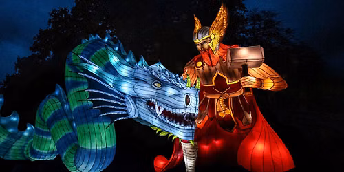 The Festival of Light - Sensory Day