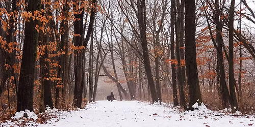 The Hunt for Redhide