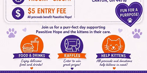 Kitten Shower\ud83d\udc3e