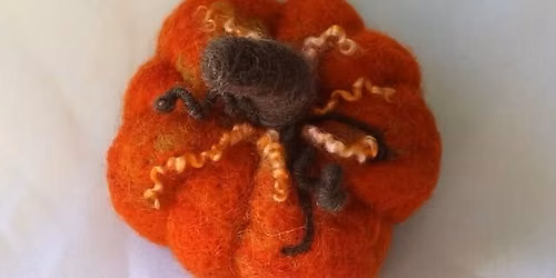 Needle Felted 3D Pumpkin Workshop
