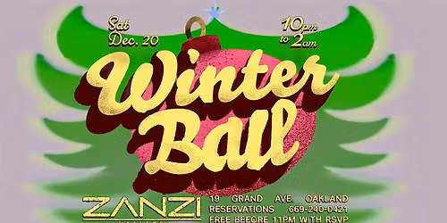 Winter Ball at Zanzi