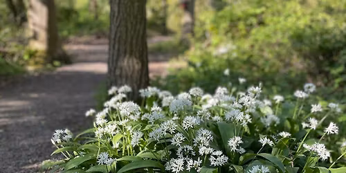 NEW Wildlife Club for 6 to 12 year olds. Signs of spring around the reserve with a treasure hunt