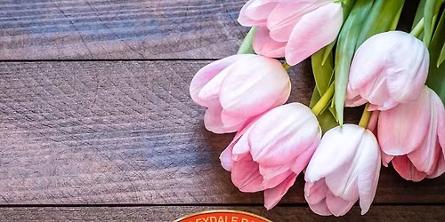 Mother's Day Tea Train