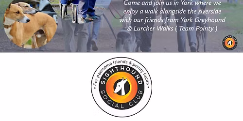 Monthly York Walk - Hosted by our friends at Team Pointy
