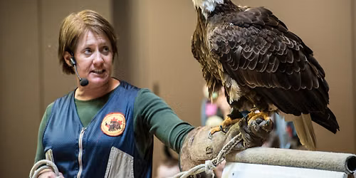 Summer Special Guests: Birds of Prey