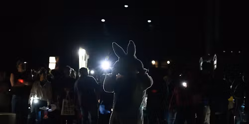 Nite Lite Egg Pursuit